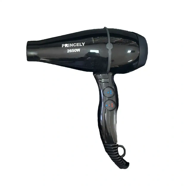 سشوار پرینسلی مدل PR200AT